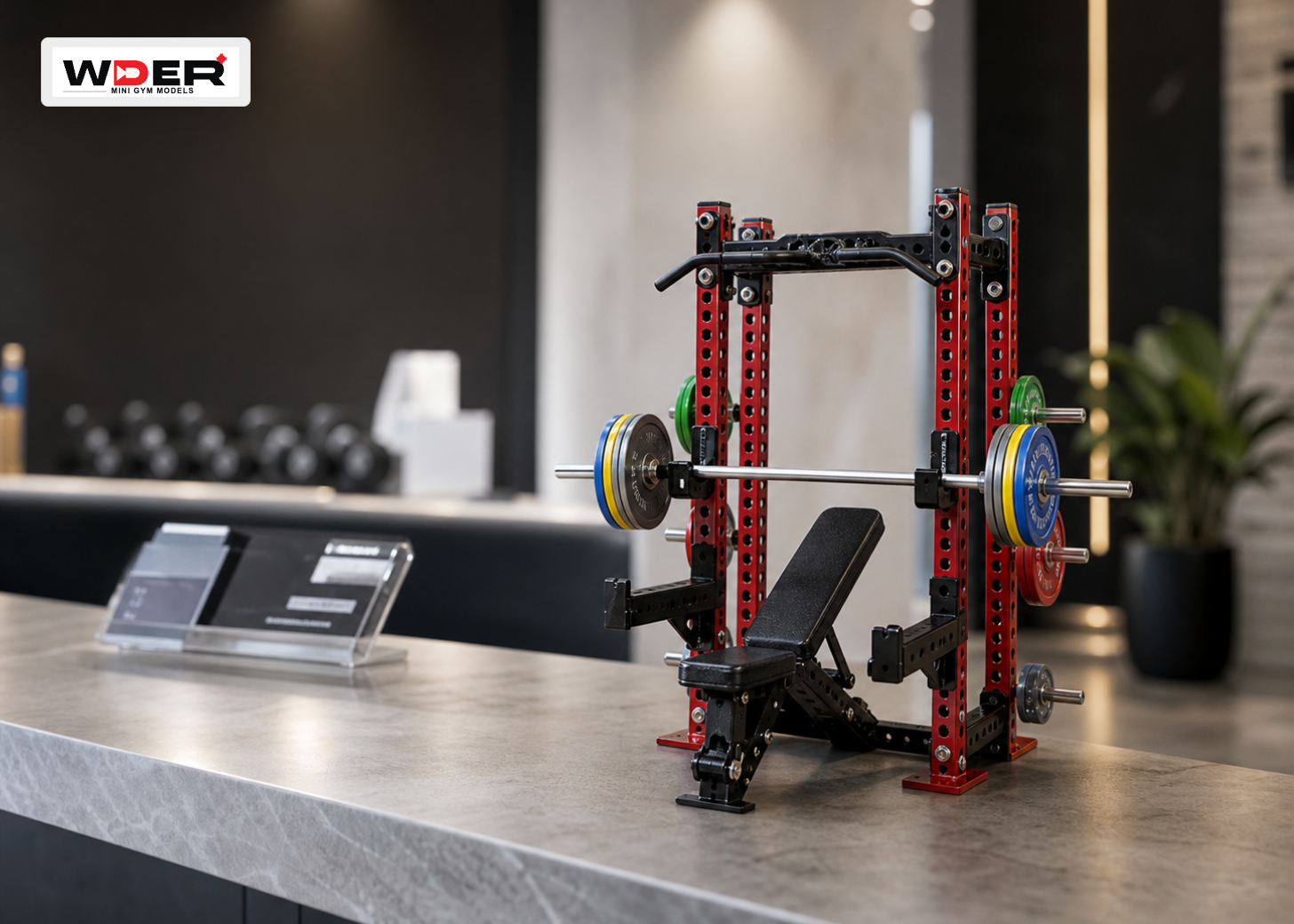 افتتاح نادي بوتيك مع Mini Rack Display - WDER mini gym model افتتاح visual with one natural display-card logo